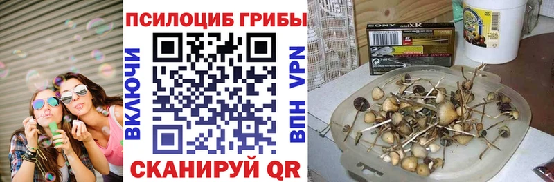 ссылка на мегу вход  Нижние Серги  Галлюциногенные грибы GOLDEN TEACHER 